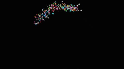 Vibrant Butterfly Swarm Flying in Arc Loop Animation