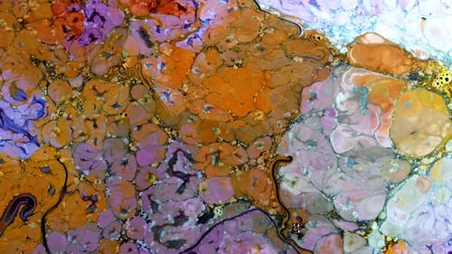 Abstract Colorful Ink Spread