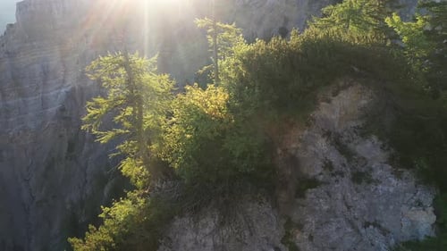 Majestic Mountains and Green Trees in Sunlight