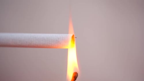 effects of tobacco and smoking Effects of Tobacco Smoking | Stock Image