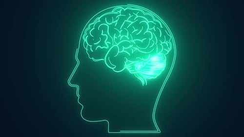 Animation anatomique du cerveau humain