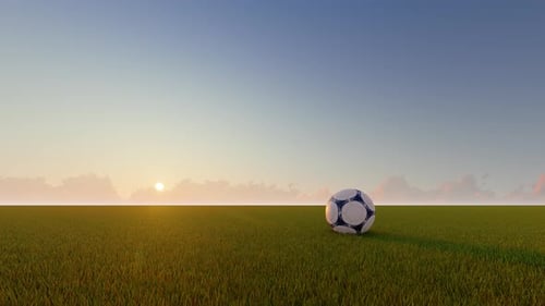 3D Soccer Ball on Green Grass Field at Sunset