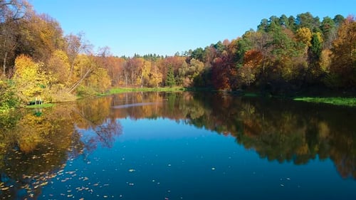 Buntes Herbstwald-Holz auf dem See