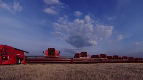 Rote Erntemaschinen
