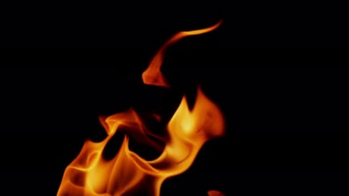 Dynamic Flames Flickering Against Black Backdrop