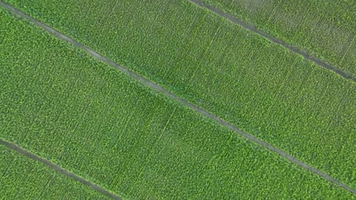 Farm Hintergrund Textur 4 K Luftbild