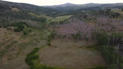 Mountain Wilderness Area In Utah