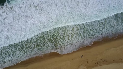 Aerial drone uav view of the beach and ocean.