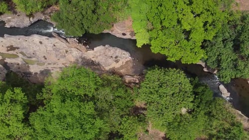 Jungle River Strip Relaxing