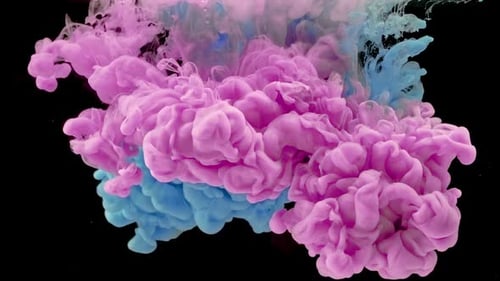 Abstract Pink and Blue Ink Pouring in Water