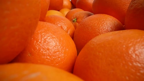Fresh Oranges 23