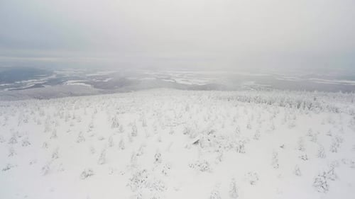 A Snowcovered Forest Winter Landscape in Mountains Top View
