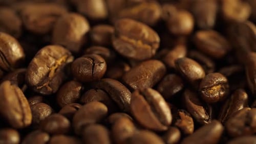 Close Up of Roasted Coffee Beans