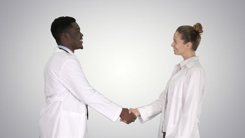 Doctors Shake Hands in Professional Meeting