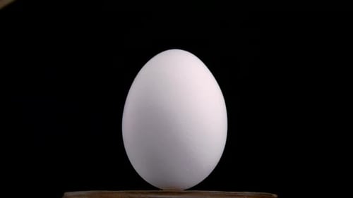 Egg Smashed by Wooden Gavel in Slow Motion