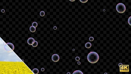 Floating Iridescent Soap Bubbles Animation Overlay