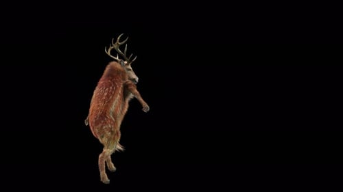 Realistic 3D Deer Dancing Animation with Alpha Channel