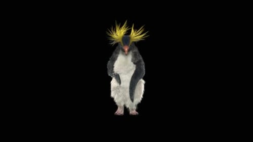Penguin Dancing HD