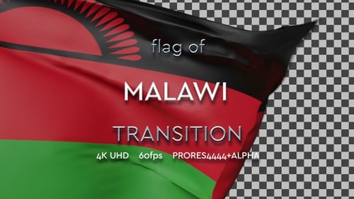 Waving Flag Reveal Transition