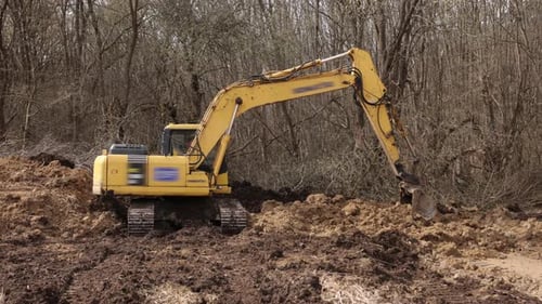 Excavator Digging in Forest Environment