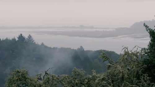 Scenic View of Fog Shrouded Bay and Woodlands
