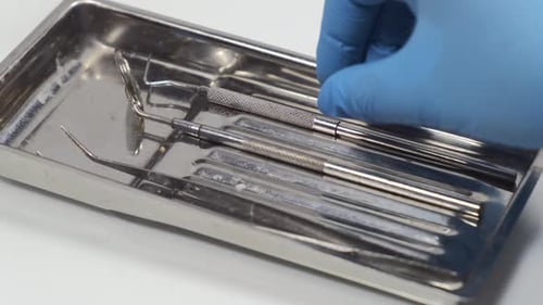 Dental Instruments in Tray Arranged by Gloved Hand