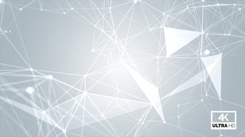 Plexus Abstract Network Technologie Wissenschaft Hintergrund Weiß V1