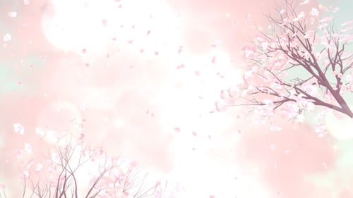 Pflaumenblüte
