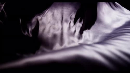 Fabric 032