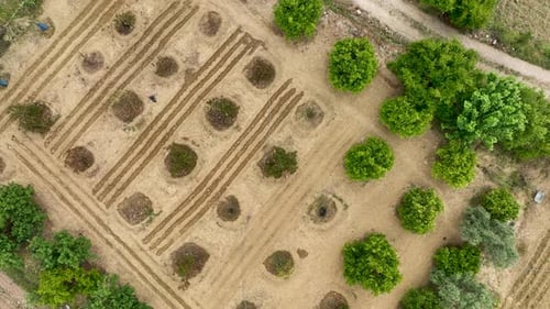 Farmlandschaften Hintergrundtextur 4 K Luftbild