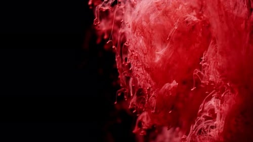 Abstract Swirling Red and White Paint in Water