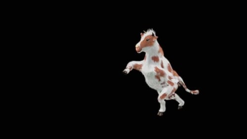 Dancing Calf 3D Animation on Black Background
