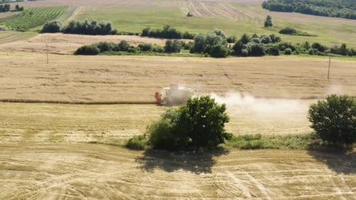 Aerial Drone Shot a Combine Harvester in a Field in a Rural Area on a Sunny Day
