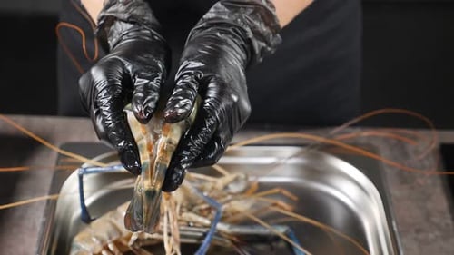 Shrimp Being Peeled By a Person Wearing Gloves