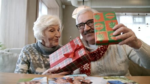 Senior Couple with Christmas Gifts Smiling to Camera