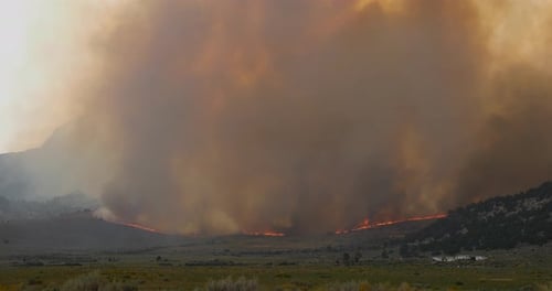 Waldbrand am Berghang