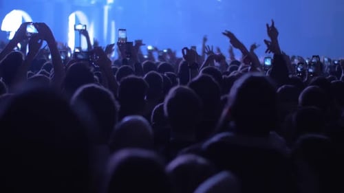 Excited Crowd at a Live Music Concert at Night