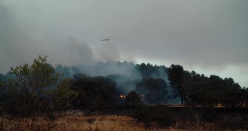 Wildfire in Mountain Forest the Firefight Helicopter Fly and Dropping Water