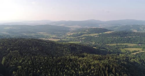 Volando sobre el bosque. Bosque desde arriba