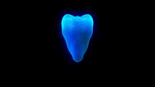Teeth Anatomy #1