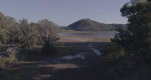 Aerial shot through trees over marsh and towards lagoon.