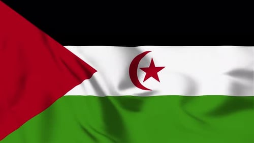 Sahrawi Arab Democratic Republic Flag Waving Animation