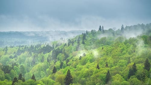 Time-lapse of shifting fog in the mountains