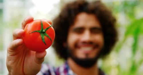 Happy man showing fresh tomato