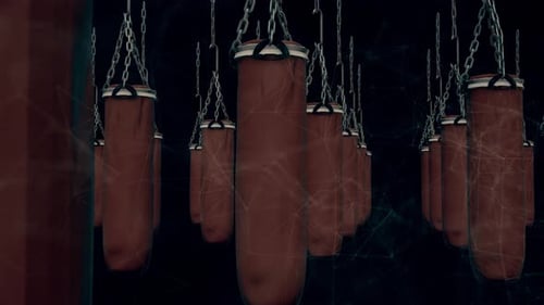 Bolsas de boxeo o boxeo 4k
