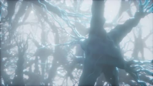 Reise durch ein Neuronenzellnetzwerk im Gehirn