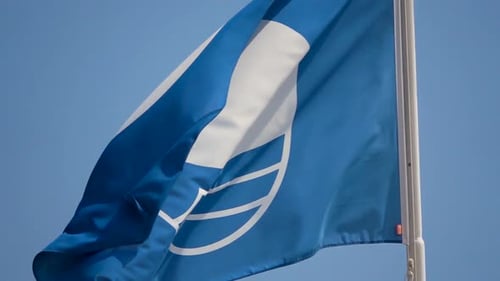 Blue Flag Waving on Sunny Beach Day