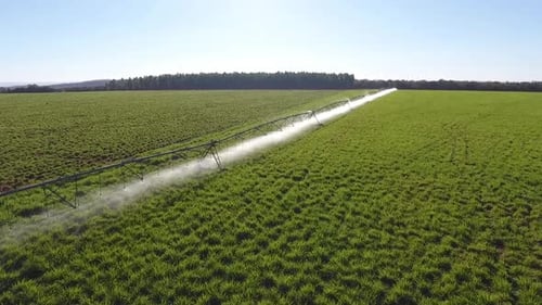 Irrigation System Watering Green Crop Field Aerial Shot