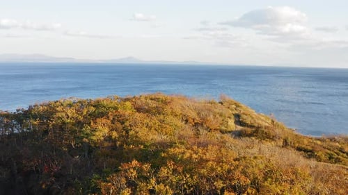 Green Yellow Red Crowns of Trees in Deciduous Forest in Autumn in October