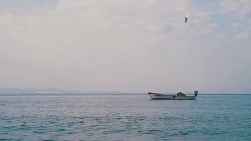 Fischerboot mit Möwe